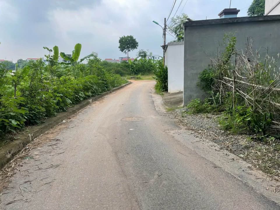 Đất nền Đồng Tâm, Vĩnh Yên 99m² giá 1.3 tỷ - Đường thông thoáng, tiện ích đầy đủ!