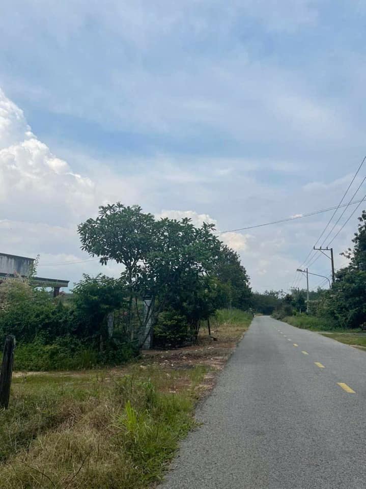Đất nền Bàu Bàng 804m² giá 1.85 tỷ - Mặt tiền nhựa ĐT749, cơ hội đầu tư tuyệt vời!