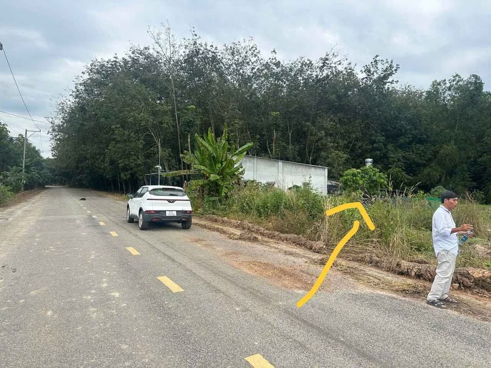 Đất thổ cư 388m² tại Phú Giáo, Bình Dương - Đầu tư sinh lời hấp dẫn!