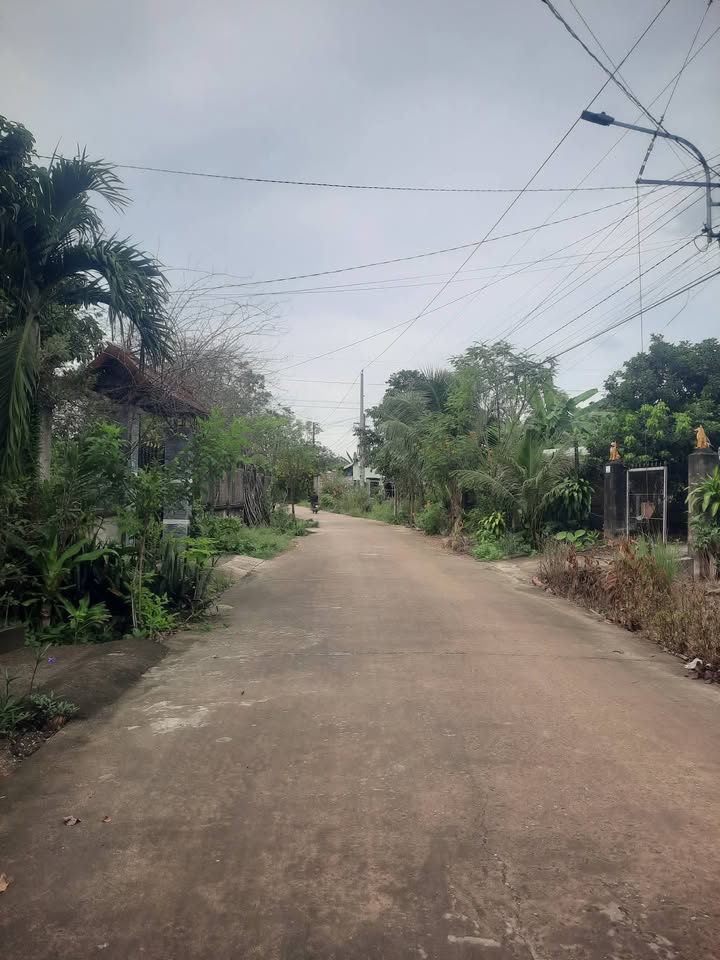 Đất nền An Bình, Phú Giáo 312m² giá 800 triệu - Cơ hội đầu tư sinh lời!