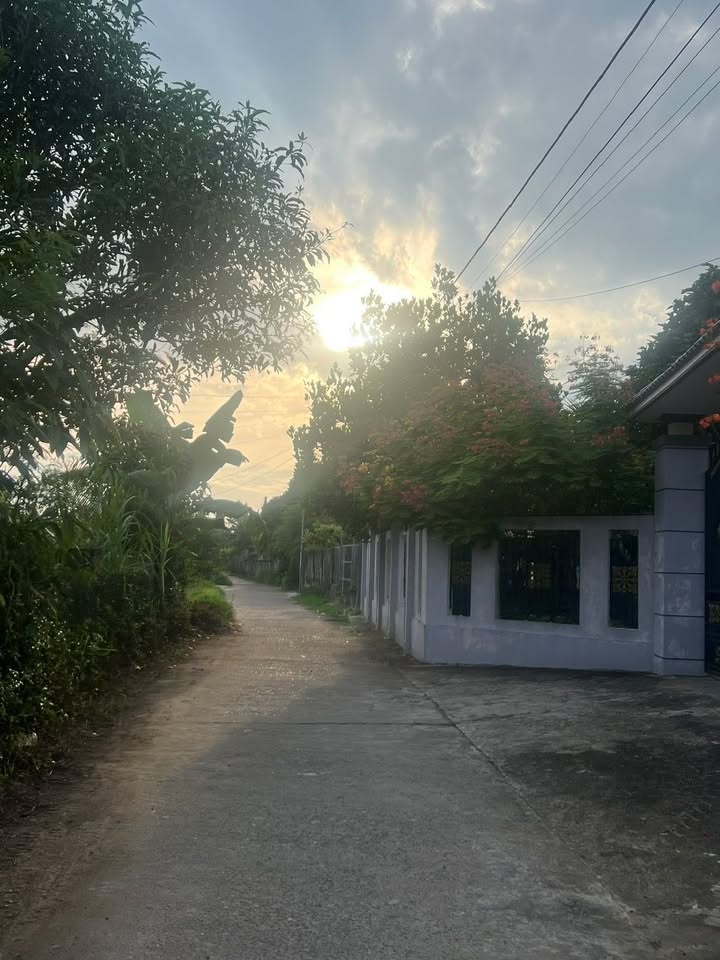 Đất nền Long Phụng Mộ Đức 236m² giá 700 triệu - Sẵn sàng xây nhà vườn đẹp!