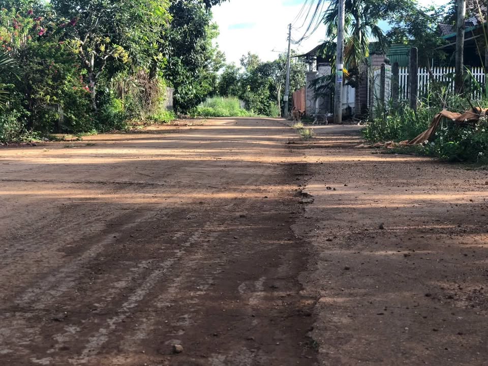 Đất Đắk Wer 55,000m² giá thỏa thuận - Đầu tư sinh lời hấp dẫn!