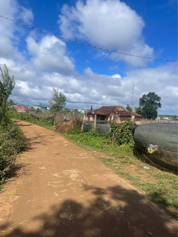 Đất nền An Phú Gia Lai 200m² chỉ 490 triệu - Cơ hội đầu tư vàng!