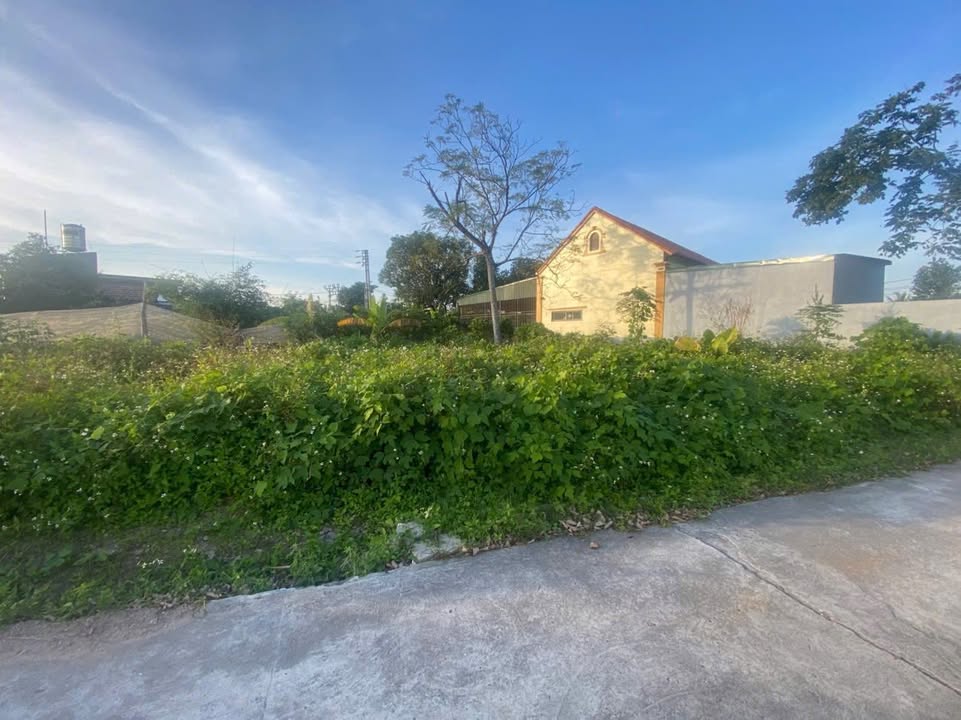 Đất nền 117,7m² Bắc Mã 2 - Bình Dương - Giá thỏa thuận, vị trí đắc địa!