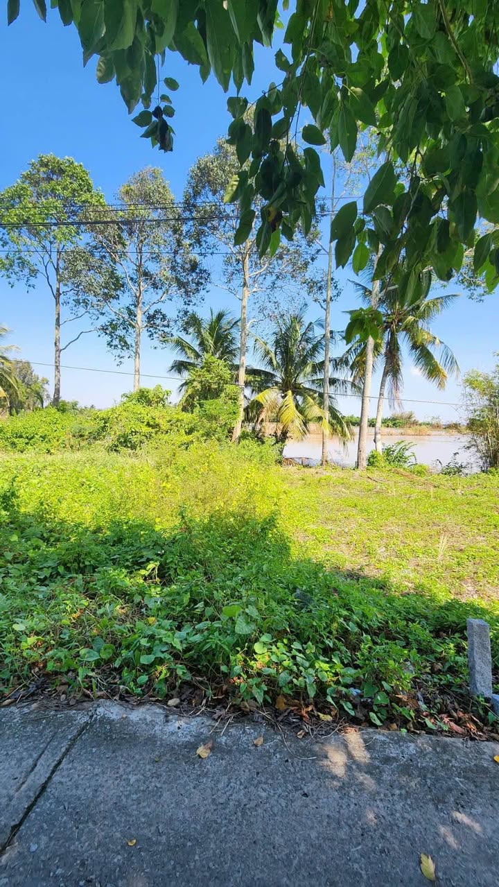 Đất nền mặt tiền Kênh 7 Thạnh Lộc 97.5m² giá 300 triệu - Vị trí yên tĩnh, giao thông thuận lợi!