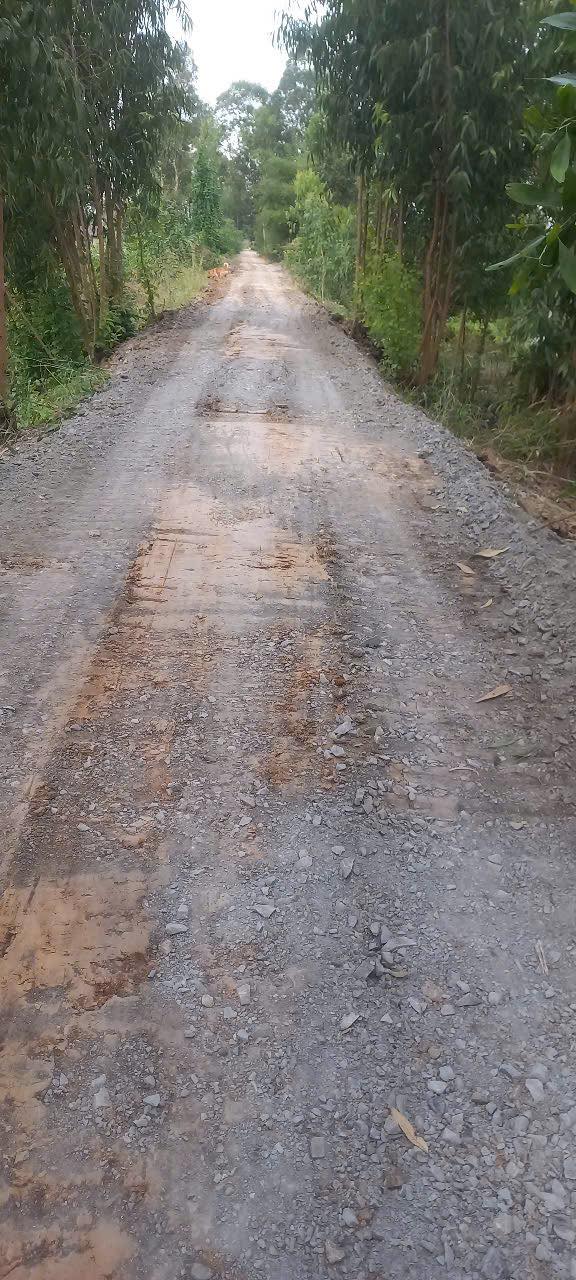 Đất nền 19 công Thủy Đông, Thạnh Hóa, Long An - Giá chỉ 3.06 tỷ, sổ hồng chính chủ!