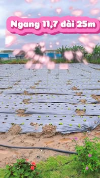 Đất thổ cư Thạnh Mỹ 292m² giá 620 triệu - Vị trí đẹp, đầu tư sinh lời!