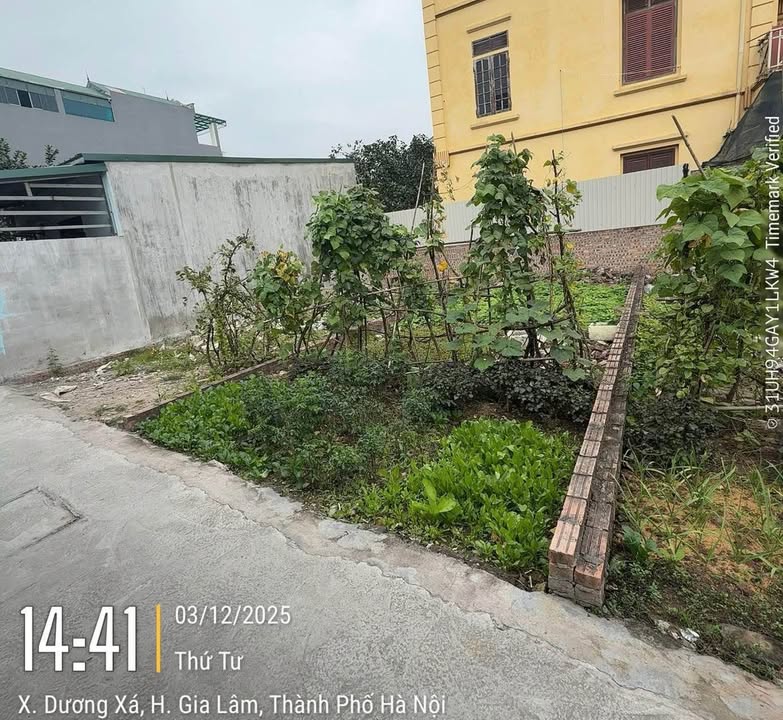 Đất nền Dương Xá 42m² giá 2.9 tỷ - Tiện ích đầy đủ cho cuộc sống hiện đại!