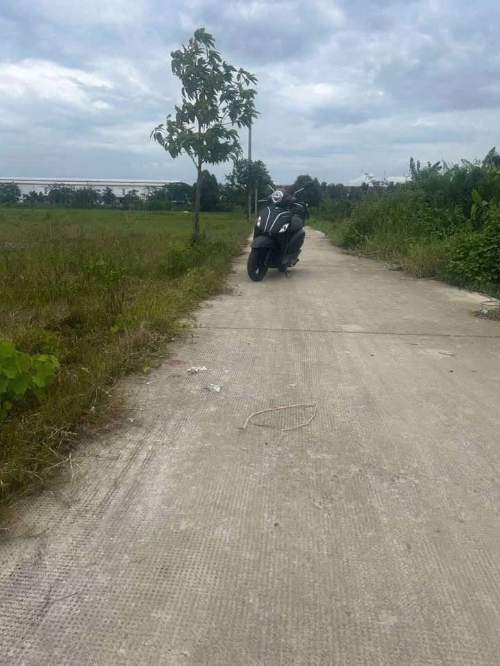 Đất thổ cư Long Cang 339.1m² giá 1.5 tỷ - Cơ hội đầu tư hấp dẫn!