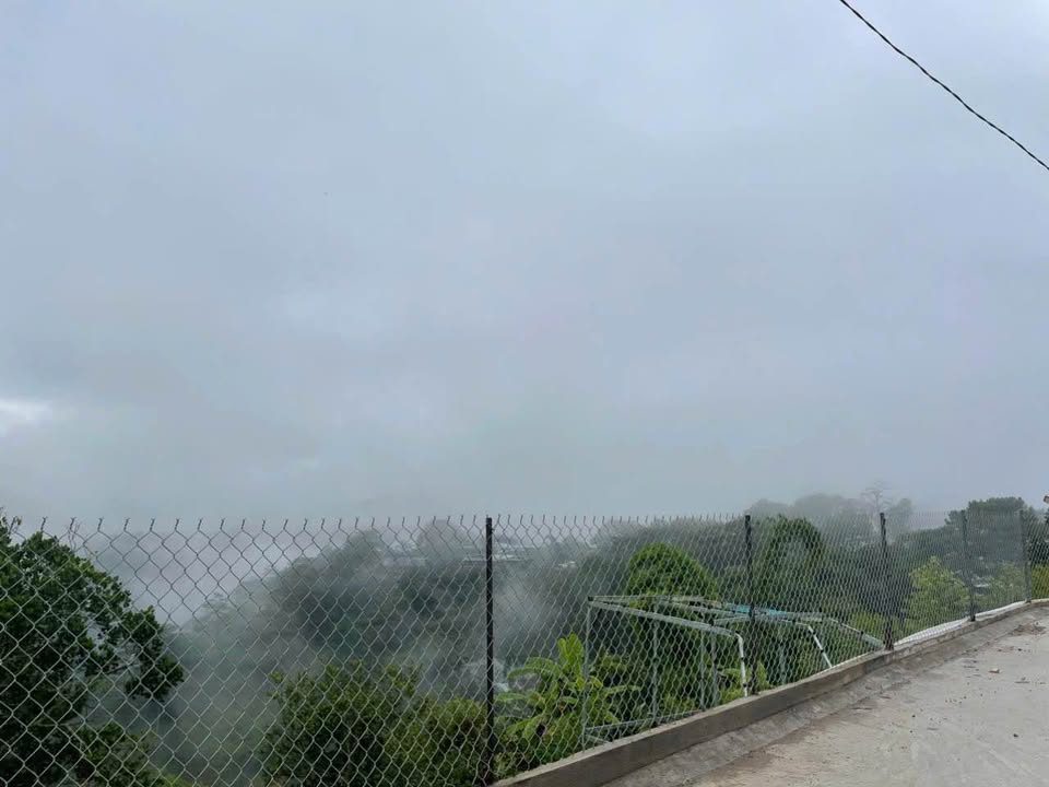 Đất nền đường hẻm nhựa Phường 3 Đà Lạt 1072m² giá 35 tỷ - Đầu tư sinh lời tuyệt vời!