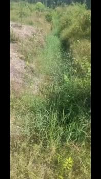 Đất nền Củ Chi 20.000m² giá 1 tỷ - Đường thông, điện dân cư