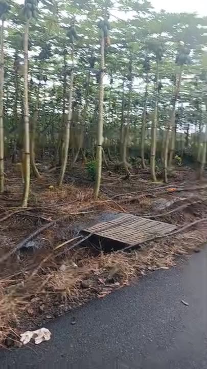 Đất nền xã Xuân Sơn, Châu Đức 5000m² giá 5 tỷ - Đầu tư sinh lời tuyệt vời!