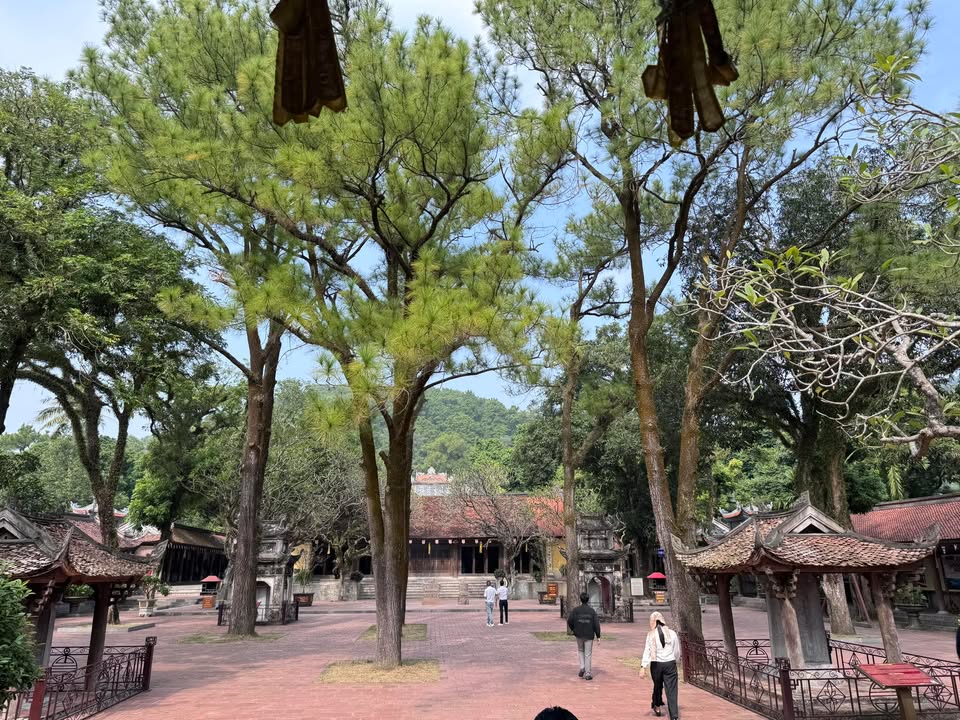 Đất nền Đại Phúc Bắc Ninh 78m² - Vị trí đắc địa, tiềm năng sinh lời cao!