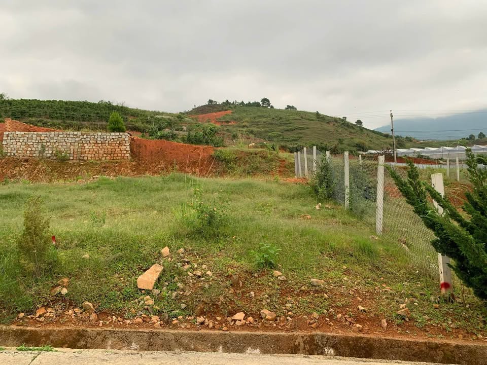 Đất khu đô thị Liên Minh Đà Lạt 175m² giá 3,5 tỷ - Cơ hội đầu tư tuyệt vời!