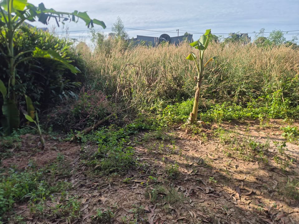 Đất nền Thới Hòa, Bến Cát 135m² giá 1.5 tỷ - Cơ hội đầu tư tuyệt vời!