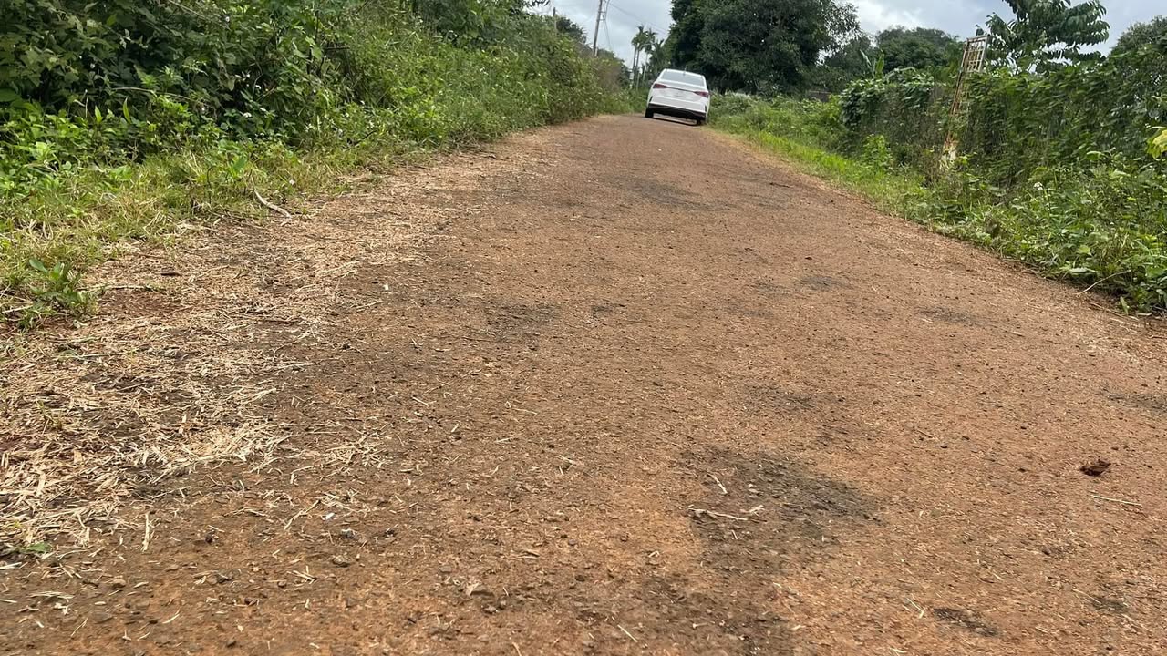 Đất nền Buôn Ma Thuột 2160m² giá 1.29 tỷ - Mặt tiền nhựa thuận lợi cho kinh doanh!