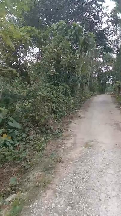 Đất nền Hương Bình Hương Khê 168m² giá 200 triệu - Đầu tư sinh lời ngay!