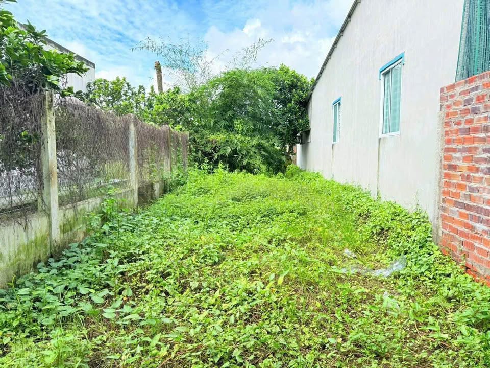 Đất nền đẹp Bến Tre 181.6m² giá 490 triệu - Không dính quy hoạch!