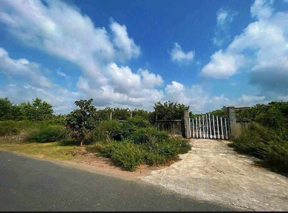 Đất vườn nhãn đang cho trái + Nhà mặt tiền 3409m² tại Lai Hòa - Giá 3.8 tỷ thương lượng!