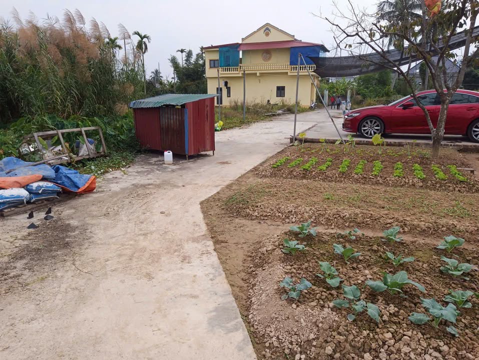 Đất nền Văn Xá, Quốc Tuấn, An Dương 50.8m² giá chỉ 670 triệu - Đầu tư sinh lời ngay!