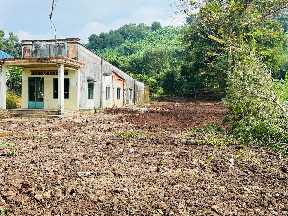 Đất mặt tiền Hương Lộ 2, Phường Tam Long, 730m² giá 3.5 tỷ - Đầu tư sinh lời cao!