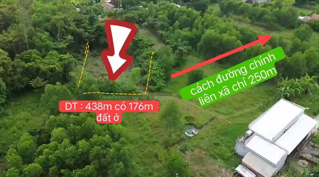 Đất thổ cư Bình Quế, Thăng Bình 438m² chỉ 300 triệu - Tiềm năng phát triển cao!