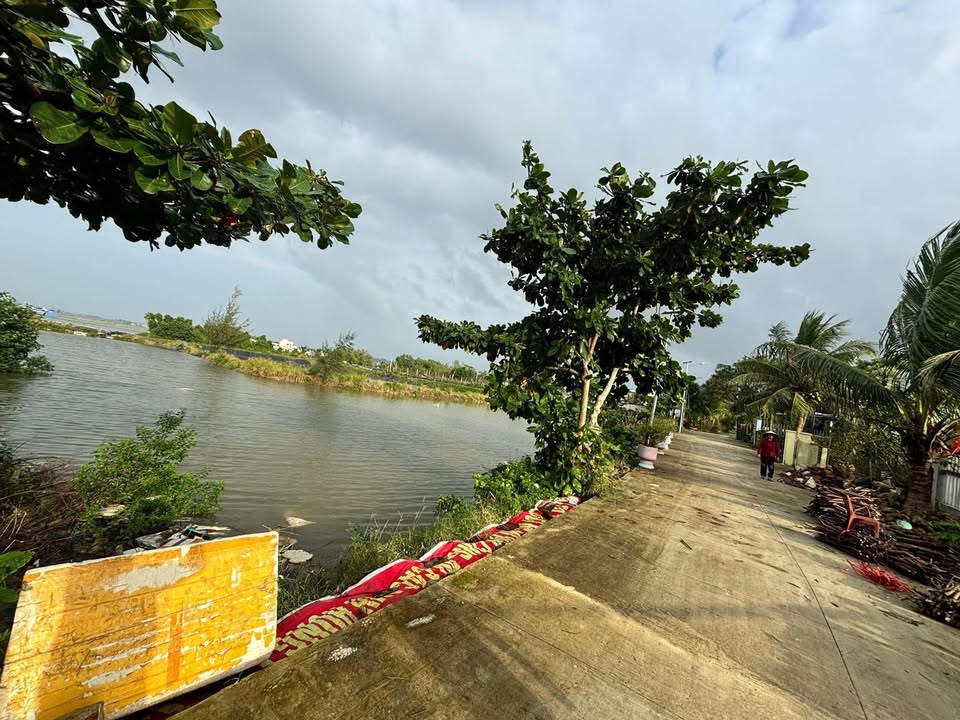 Đất Farm 4000m² tại Tam Giang, Núi Thành - Giá 1.8 tỷ, Sổ đỏ chính chủ!