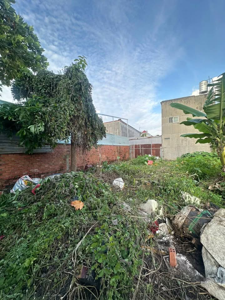 Đất trồng cây Thạnh Xuân 66.8m² giá 1.1 tỷ - Sổ hồng riêng, chính chủ!