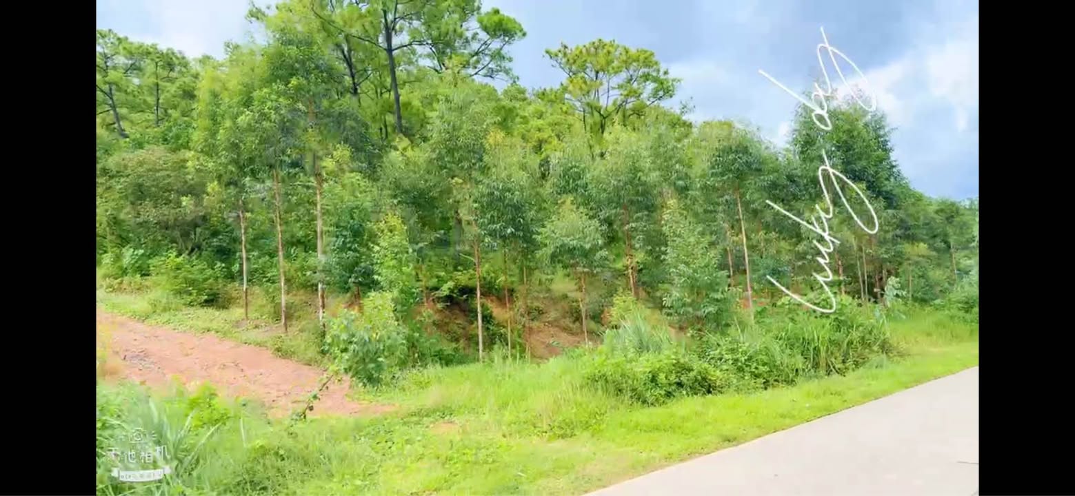 Đất nền Bình Khê, Đông Triều 268m² giá 1 tỷ - Đầu tư sinh lời lý tưởng!