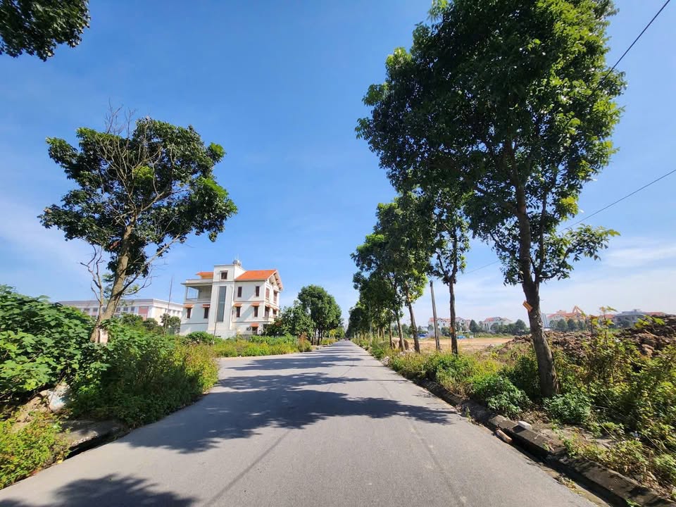 Bán lô biệt thự Đại Hoàng Long Bắc Ninh 270m² giá 6.48 tỷ - Vị trí cực đẹp gần hồ điều hòa!