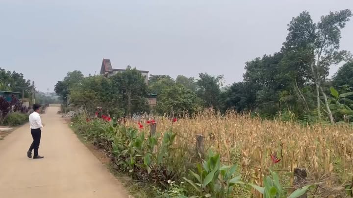 Đất thổ cư tại xã Phú Long, Nho Quan, Ninh Bình 702m² - Tiềm năng phát triển homestay!