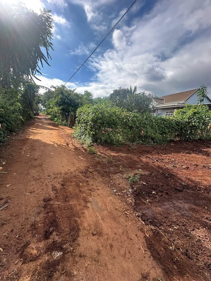 Đất thổ cư Ea Drông 250m² giá 290 triệu - Cơ hội đầu tư tuyệt vời!