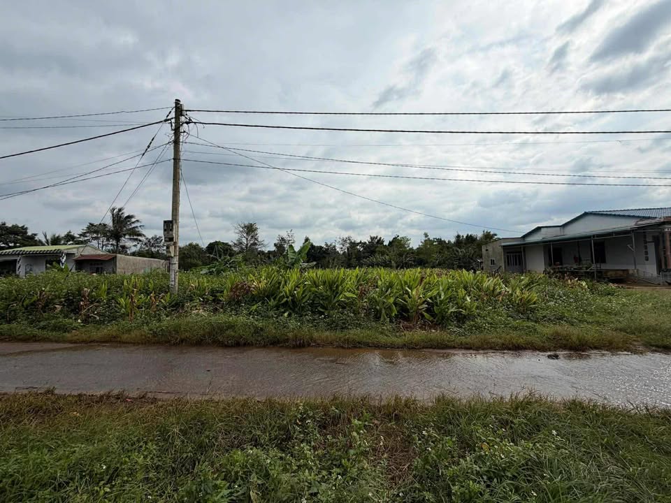 Đất thổ cư 1300m² tại Ea Knuếc, Krông Pắc, Đắk Lắk - Giá 7.95 tỷ, cơ hội đầu tư tuyệt vời!