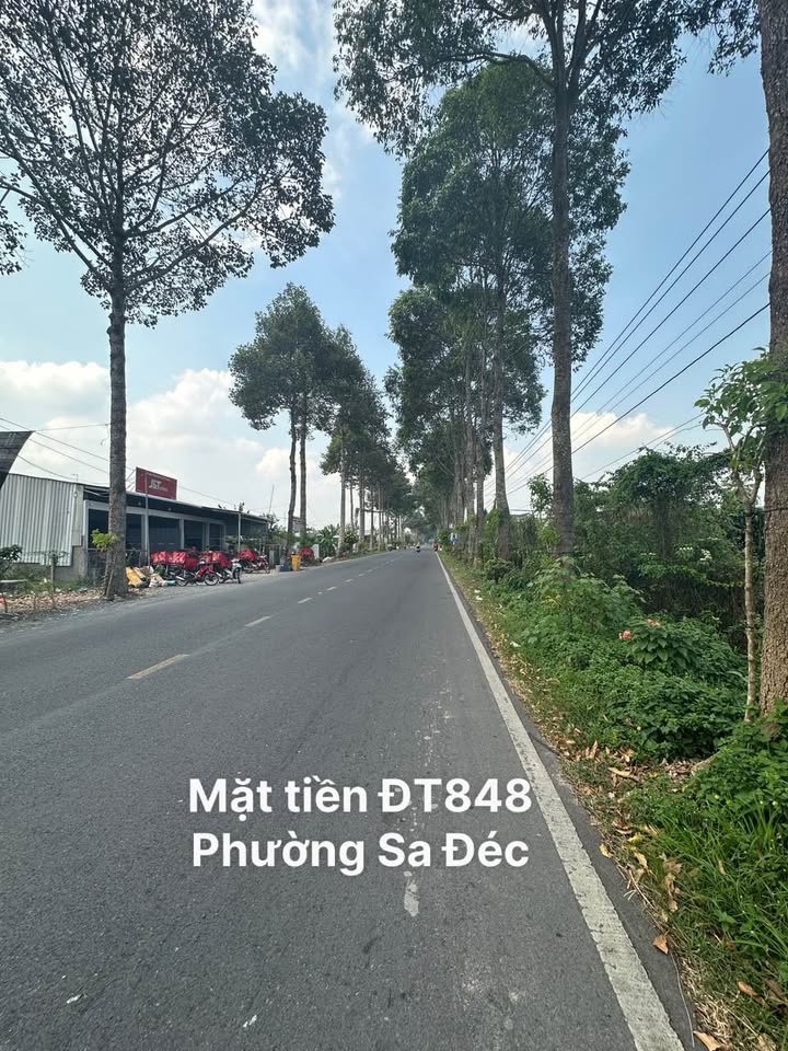 Đất nền mặt tiền ĐT848, phường Sa Đéc, 498m² - Sổ hồng chính chủ, giá thỏa thuận!