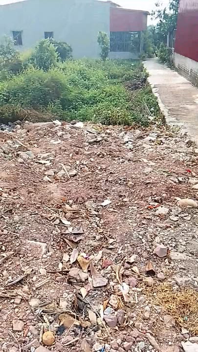 Đất thổ cư 2 mặt tiền QL31 Lục Ngạn 99m² giá 2.3 tỷ - Đầu tư sinh lời ngay!