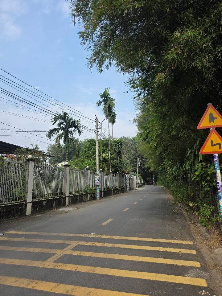 Đất thổ cư 210m² tại khu 3, phường Tân Định, Bến Cát - Giá 1.5 tỷ, sổ hồng chính chủ!