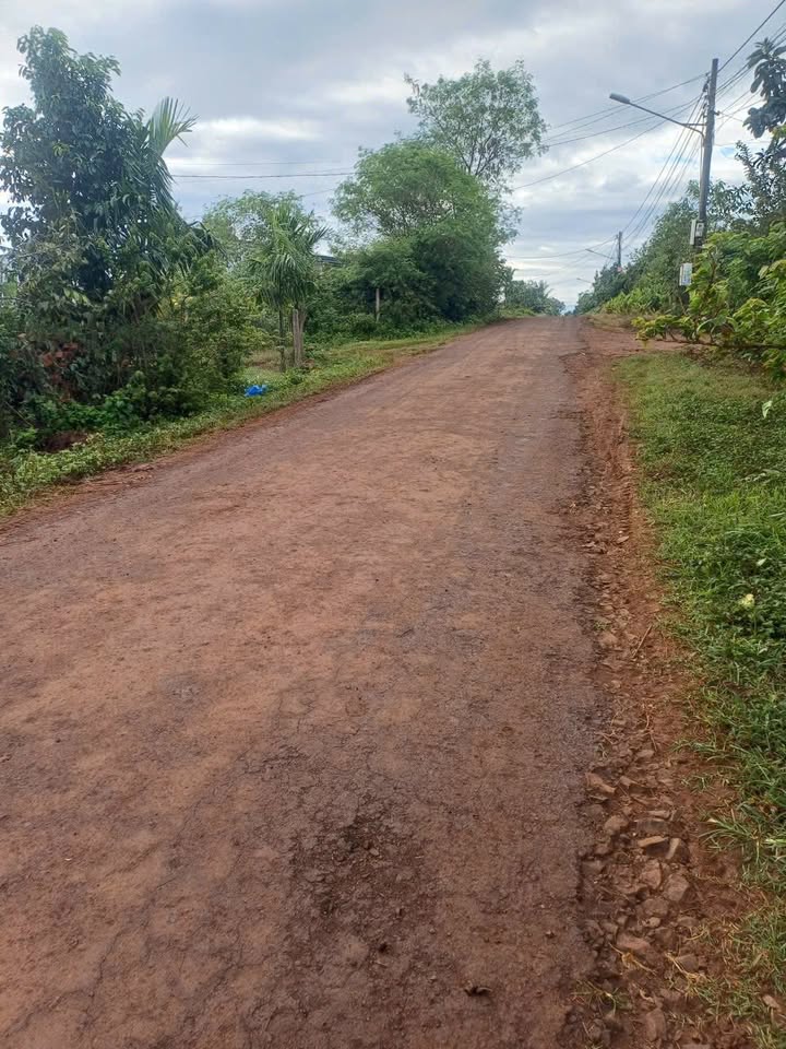 Đất nền mặt tiền Trần Cảnh, phường An Lạc 300m² giá 2.05 tỷ - Cơ hội đầu tư tuyệt vời!