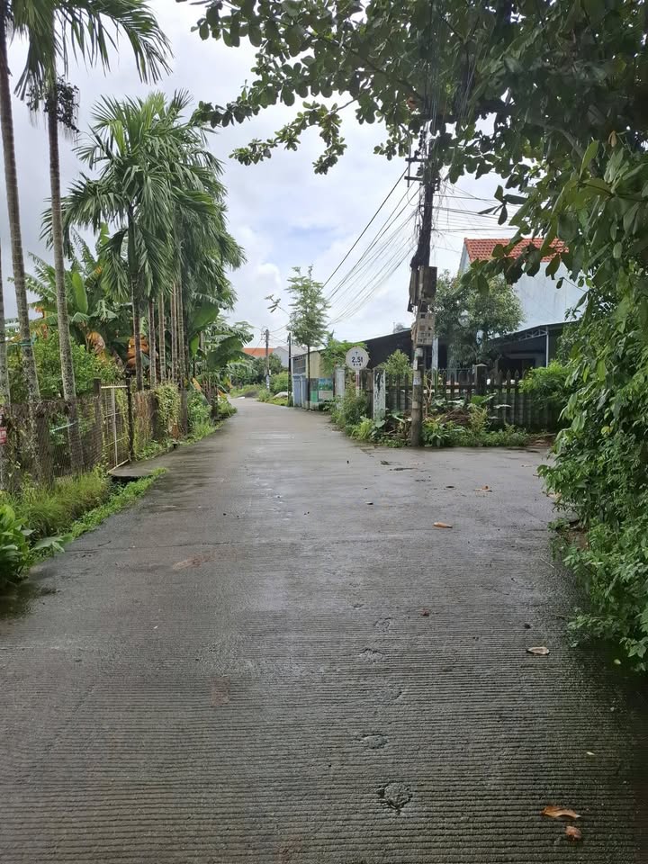 Đất nền La Hà 150m² giá chỉ 800 triệu - Cơ hội đầu tư tuyệt vời!