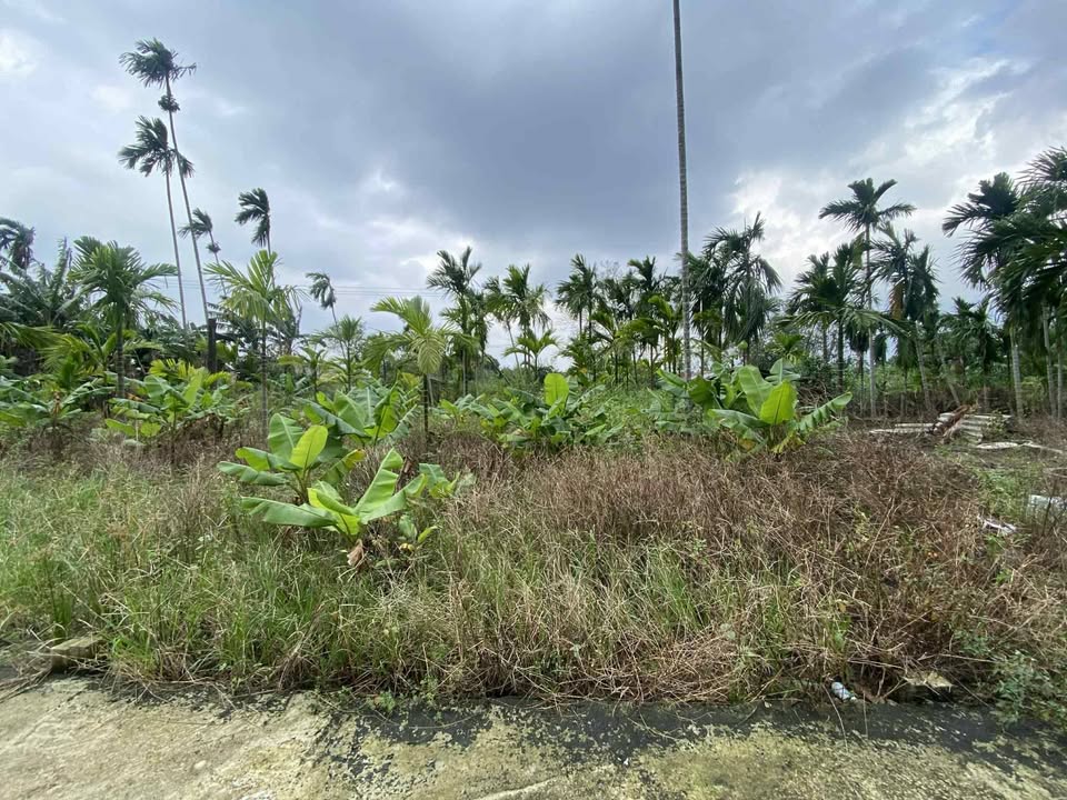 Đất nền tại TT La Hà, Tư Nghĩa 105.8m² - Đường hẻm xe tải thuận tiện!