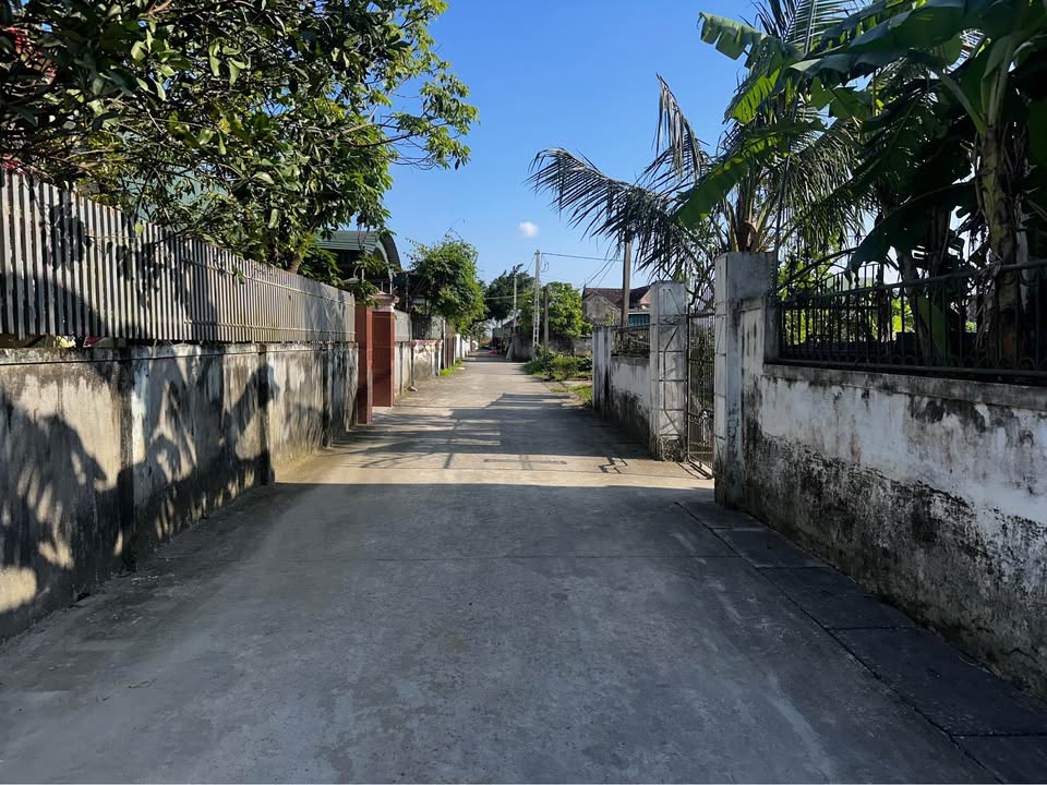 Đất nền 90m² Eo Bù Nghi Thuận - Đầu tư sinh lời, vị trí đắc địa!