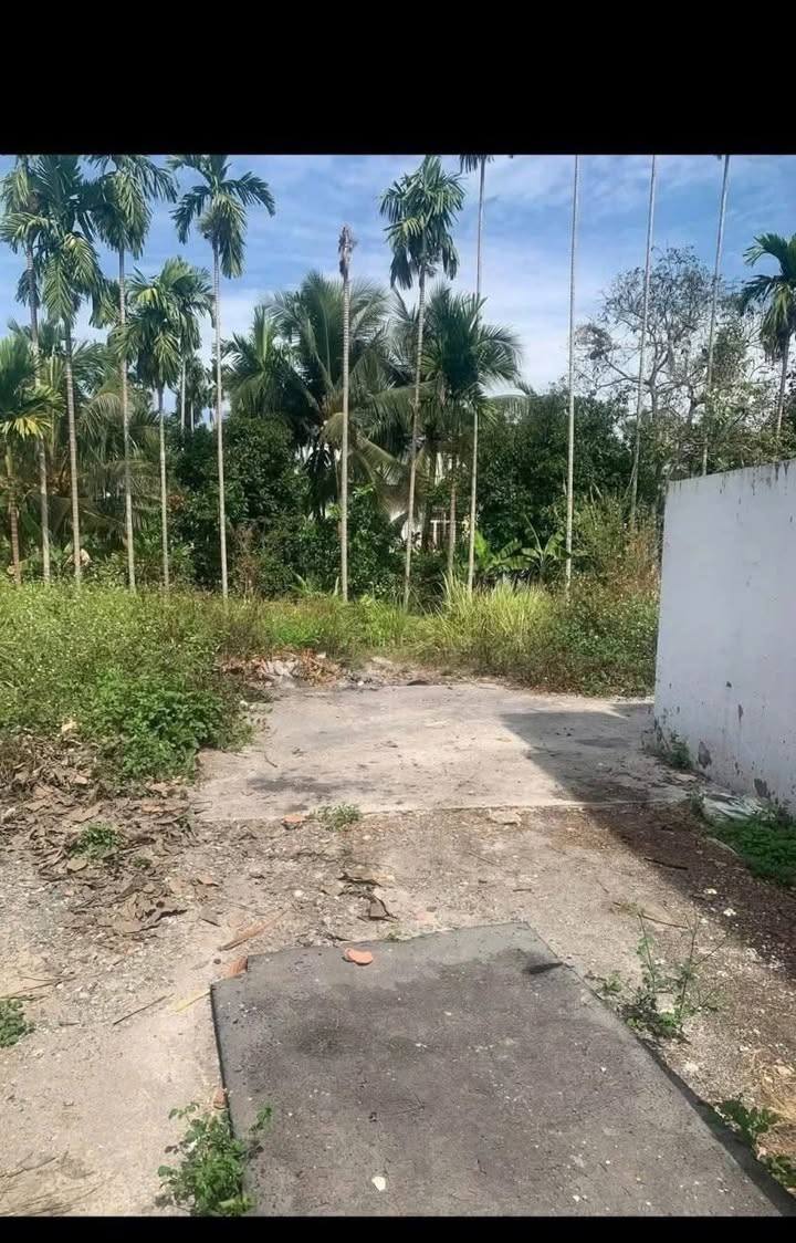 Đất thổ cư Lái Thiêu 70m² giá 1.2 tỷ - Xây dựng tự do!