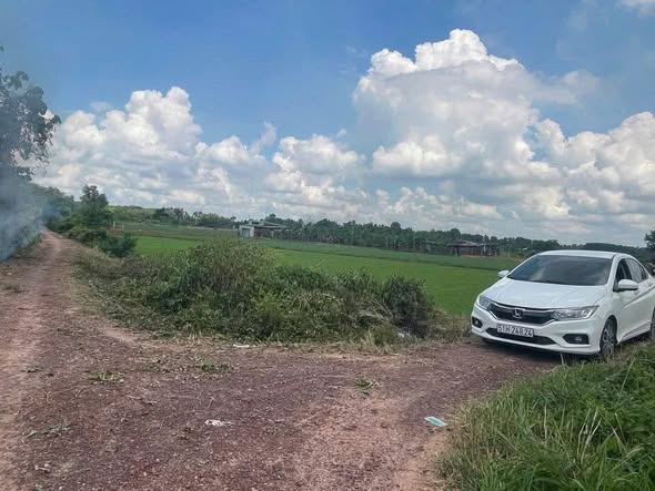 Đất trồng cây Đông Thạnh 502m² giá 2.25 tỷ - Tiện làm nhà vườn cuối tuần!