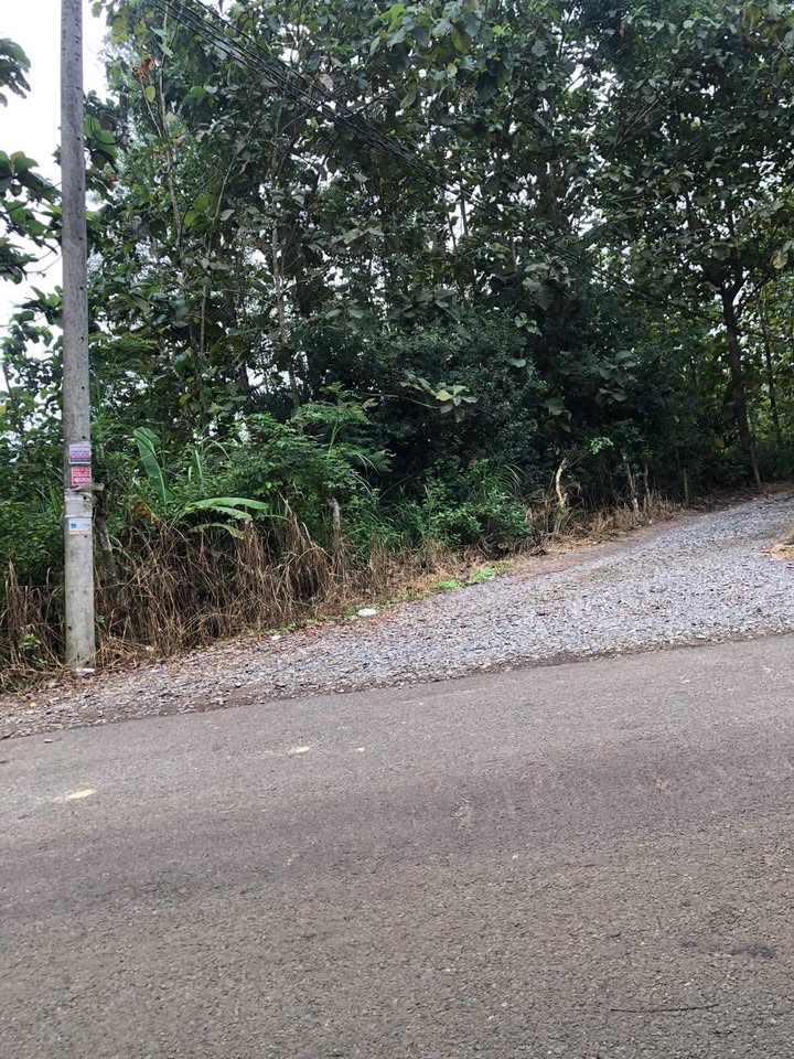 Đất nền Ngọc Định 1000m² giá 530 triệu - Tiềm năng đầu tư lớn!