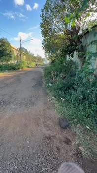 Lô đất góc Huỳnh Thúc Kháng, Ia Grai, 288m² giá 3 tỷ - Cơ hội đầu tư tuyệt vời!