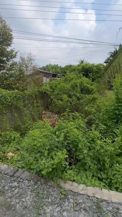 Đất nền Trường Lạc, Ô Môn 180m² giá 900 triệu - Sổ hồng chính chủ