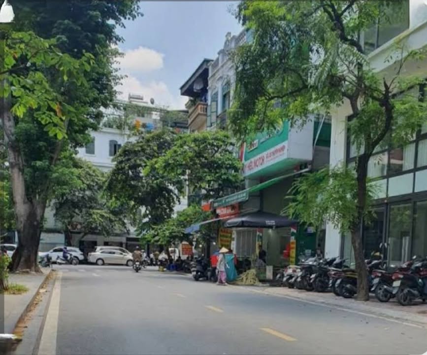 Đất nền Trần Quang Diệu, Đống Đa 360m² giá 124.2 tỷ - Cơ hội đầu tư tuyệt vời!