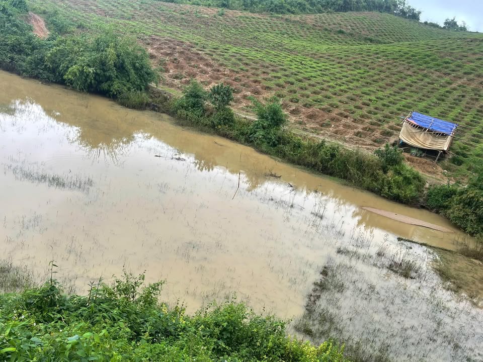 Đất nông nghiệp 1.1ha tại Đăk Nuê, huyện Lắk, giá 1.2 tỷ - Cơ hội đầu tư sinh lời!