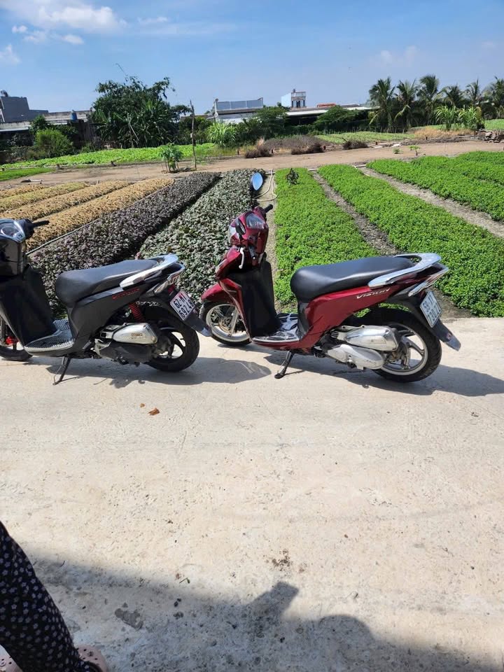 Đất thổ cư Mỹ Lộc, Cần Giuộc 139m² giá 899 triệu - Cơ hội đầu tư hấp dẫn!