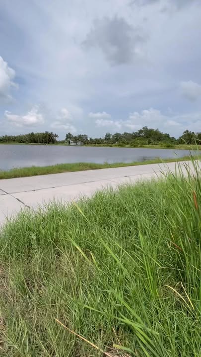 Đất lúa tôm 12000m² tại ấp Hỏa Vàm, huyện U Minh chỉ 270 triệu - Cơ hội đầu tư hấp dẫn!