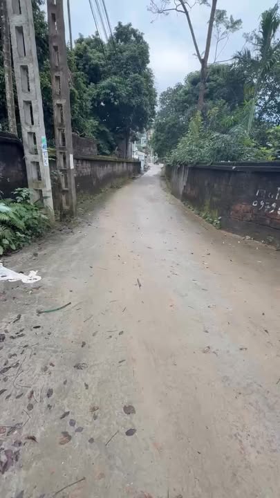 Đất nền 100m² Phú Hộ, Phú Thọ giá 1.2 tỷ - Đầu tư sinh lời tốt!